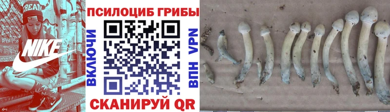 закладки  Кстово  blacksprut ТОР  Галлюциногенные грибы GOLDEN TEACHER 