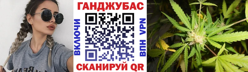 Каннабис план  купить   Кстово 